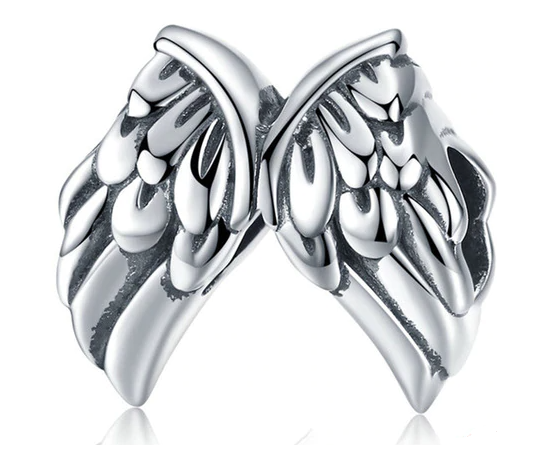 CHARM ALAS DE ANGEL